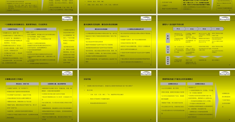 毕博-——某品牌有限公司战略业务规划.ppt