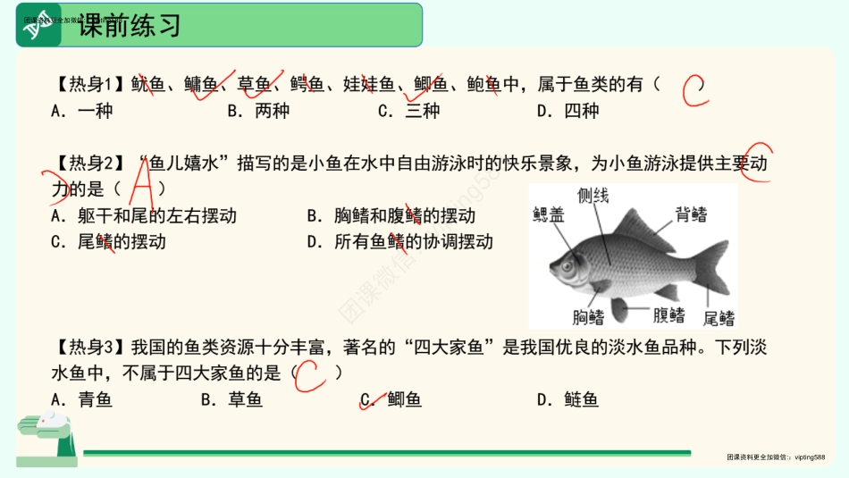 第二讲（两栖动物和爬行动物）.pdf_第2页