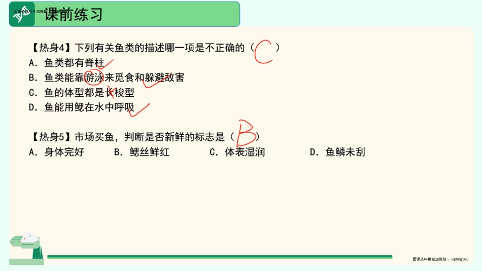 第二讲（两栖动物和爬行动物）.pdf_第3页