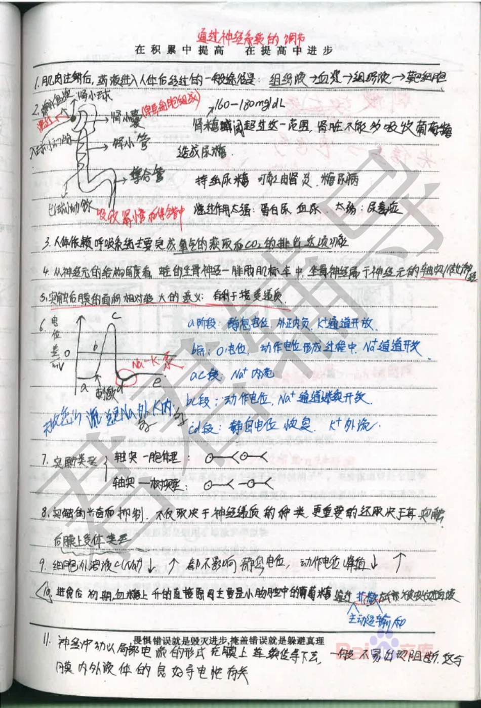 高考河北理科状元李榕榕生物笔记3【教育盘jiaoyupan.com】.pdf_第3页