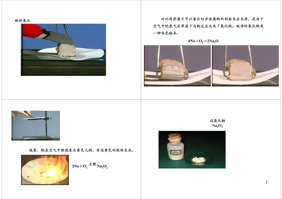 常见金属元素（一）：钠和钠的化合物(1).pdf_第2页