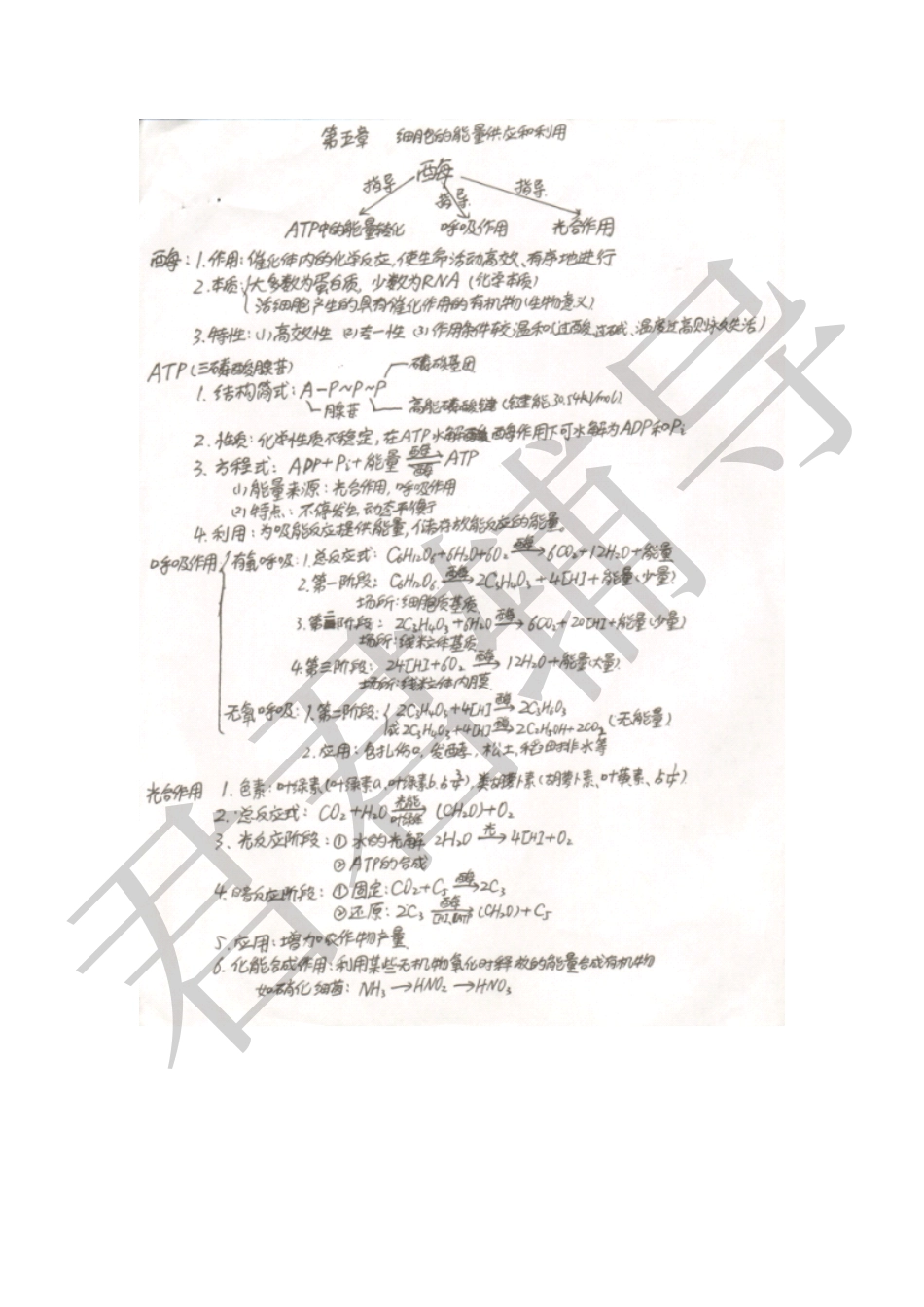 高考吉林理科状元吴晨玮高中生物笔记【教育盘jiaoyupan.com】.pdf_第3页