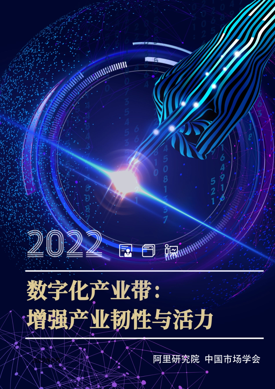 阿里研究院：数字化产业带：增强产业韧性与活力(1).pdf_第1页