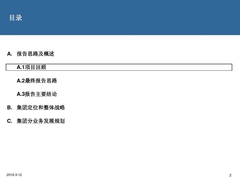 XXX集团公司IT战略规划评审报告(1).pdf_第2页