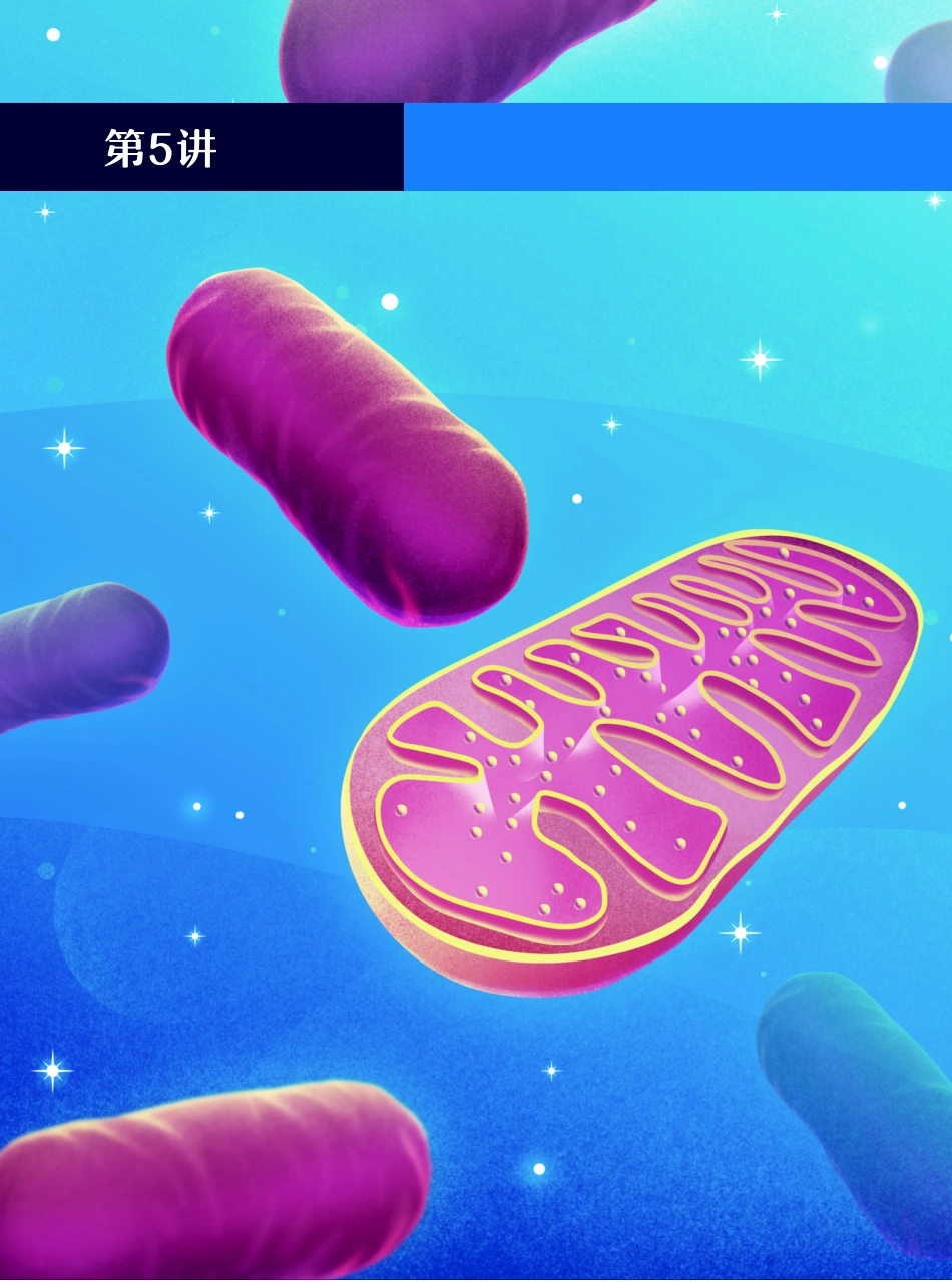 高一尖端讲义-5.多维度高效掌握细胞器的结构和功能(2).pdf_第1页