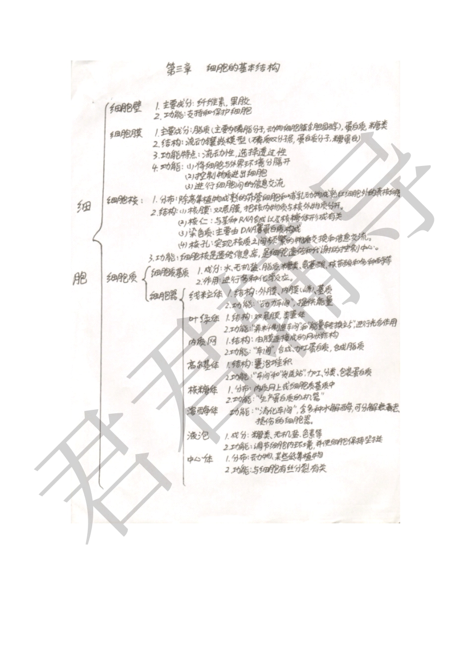 高考吉林理科状元吴晨玮高中生物笔记.pdf_第2页