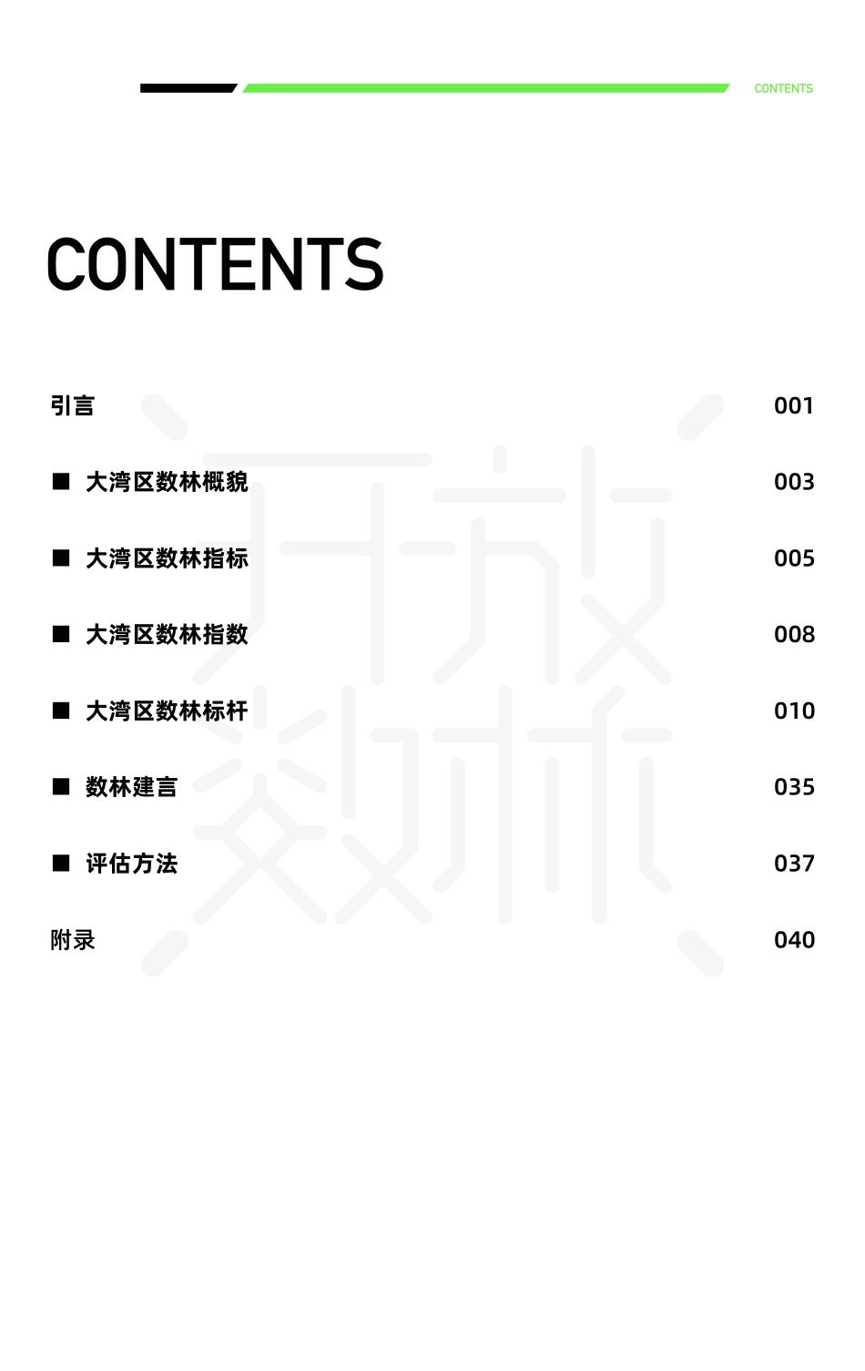 复旦大学：2021 粤港澳大湾区政府数据开放报告.pdf_第3页