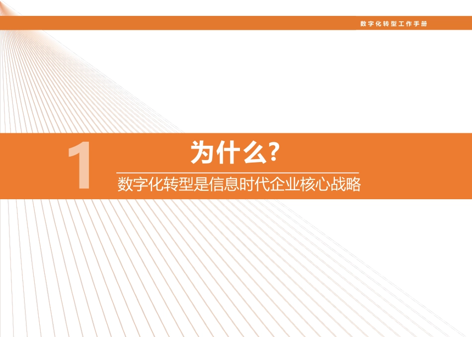 国信院—数字化转型工作手册(1).pdf_第3页