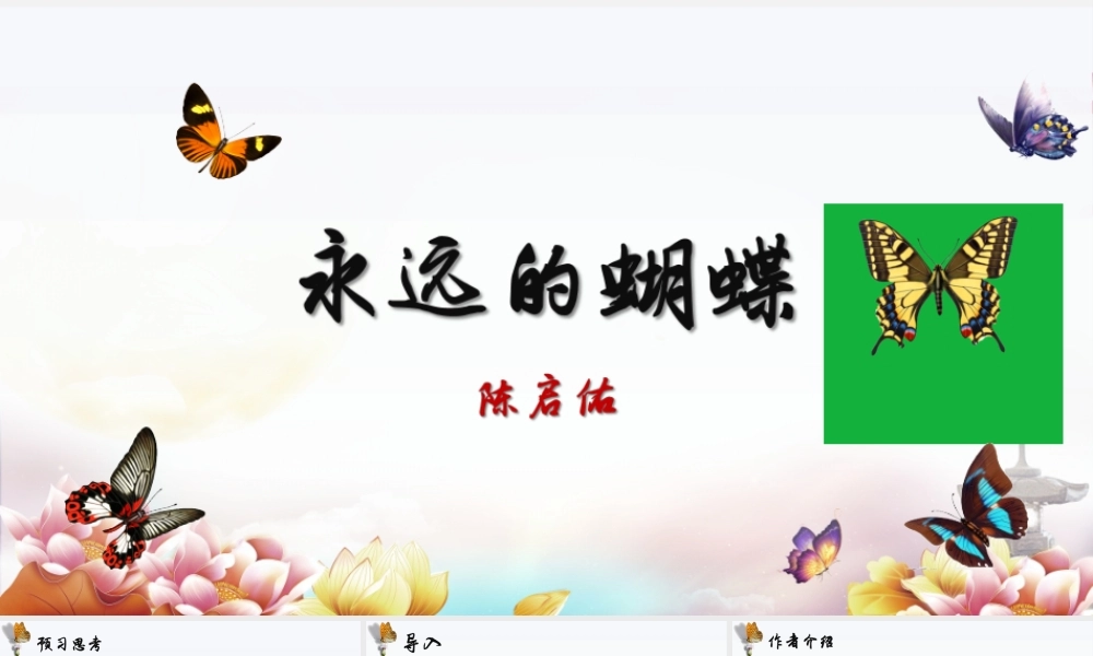 陈启佑《永远的蝴蝶》课件.pptx