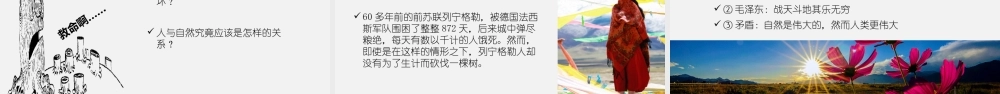 毕淑敏《离太阳最近的树》.pptx