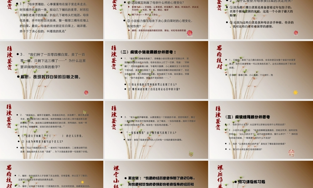 莫言《卖白菜》.ppt