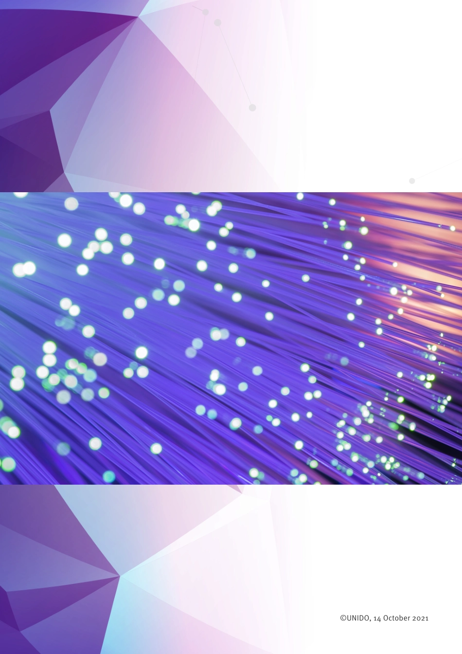 联合国工业发展组织：标准与数字化转型：数字时代的良好治理手册（EN）(1).pdf_第2页