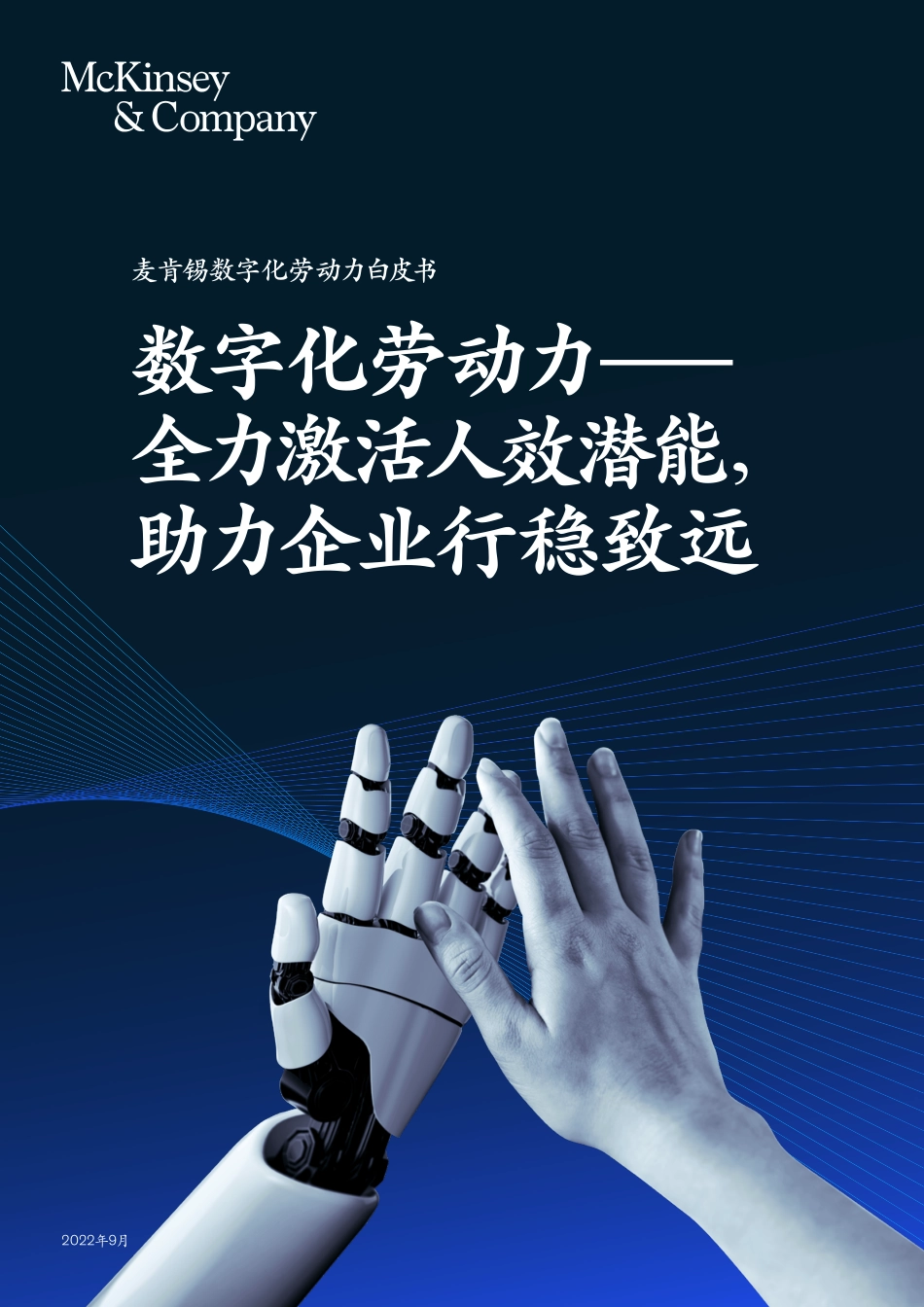 麦肯锡：数字化劳动力-全力激活人效潜能 助力企业行稳致远(1).pdf_第1页