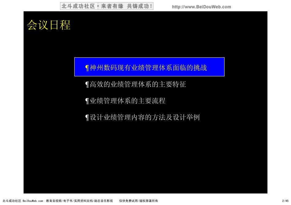 麦肯锡神州数码业绩管理体系方案(1).pdf_第2页