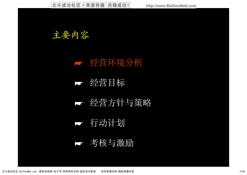 麦肯锡平安保险战略方案(1).pdf_第2页