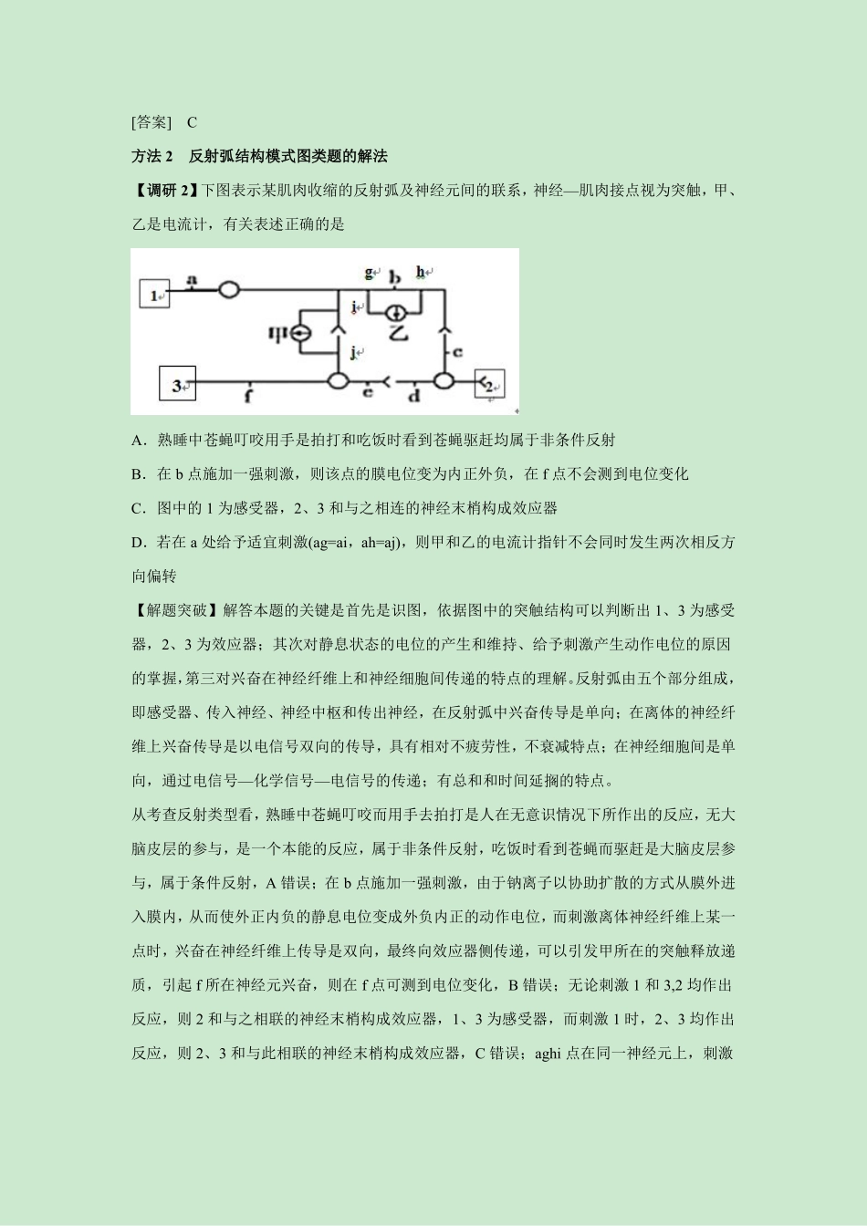 神经调节解题模板.pdf_第2页