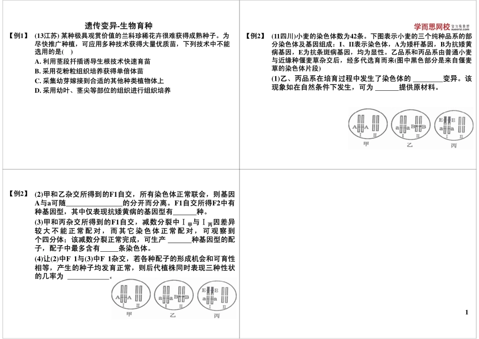 生物变异-生物育种(1).pdf_第1页