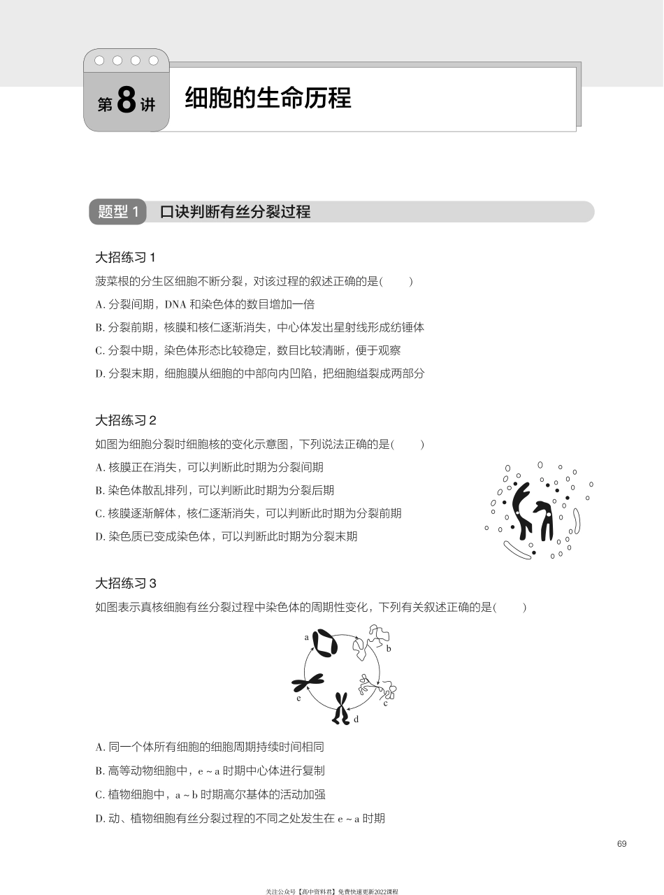 题型精练 第8讲 细胞的生命历程(1).pdf_第1页