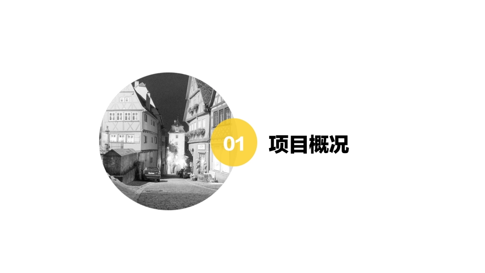 文旅类 当代东方文化小镇产品手册.compressed.pdf_第3页