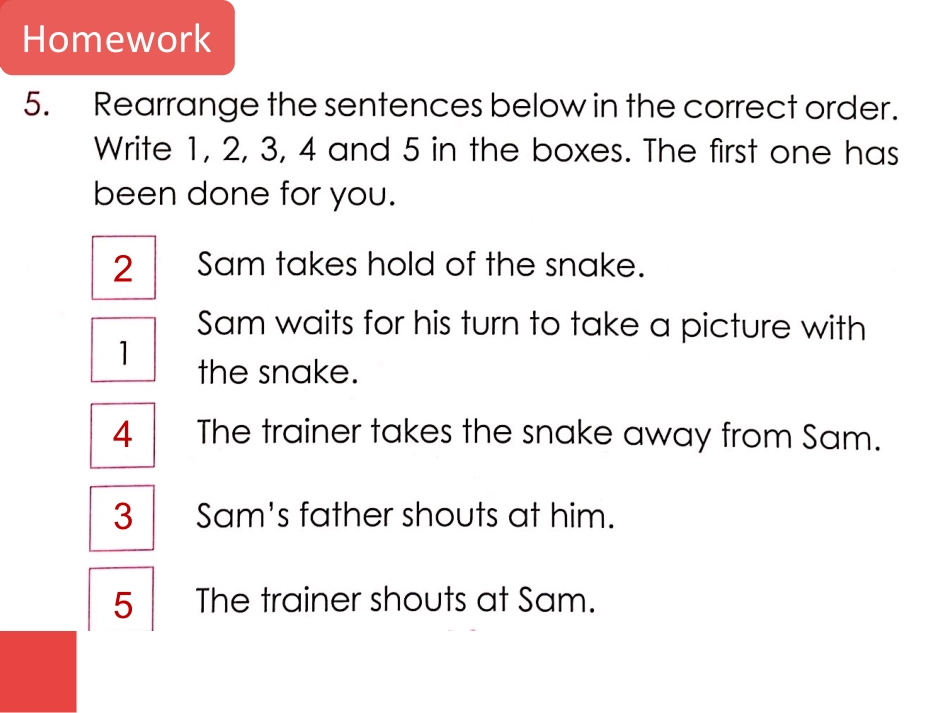 新加坡顶级小学英语国际实验班【综合】第5课时.pdf_第3页