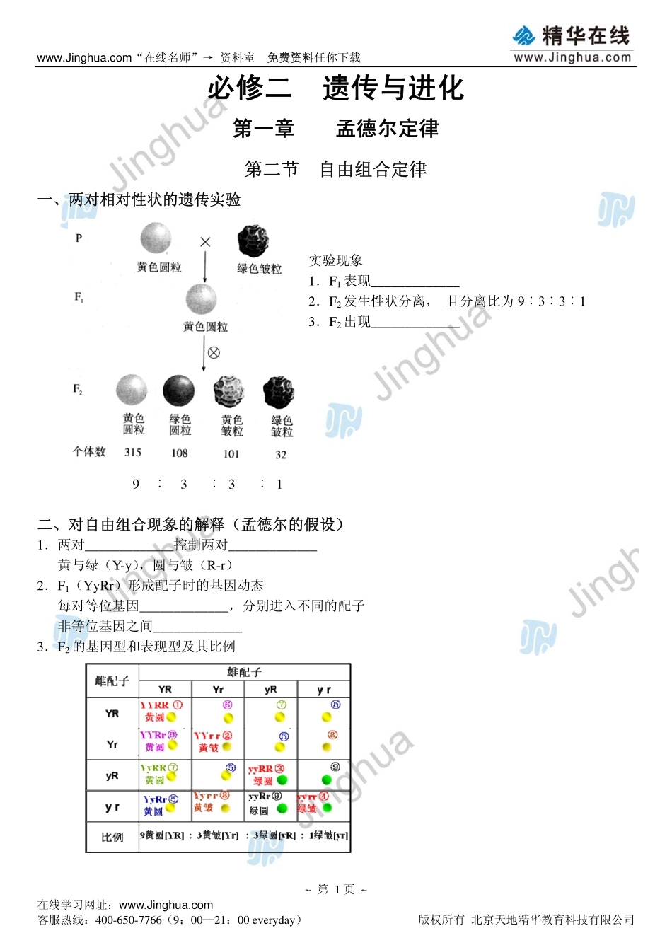 3自由组合定律.pdf_第2页