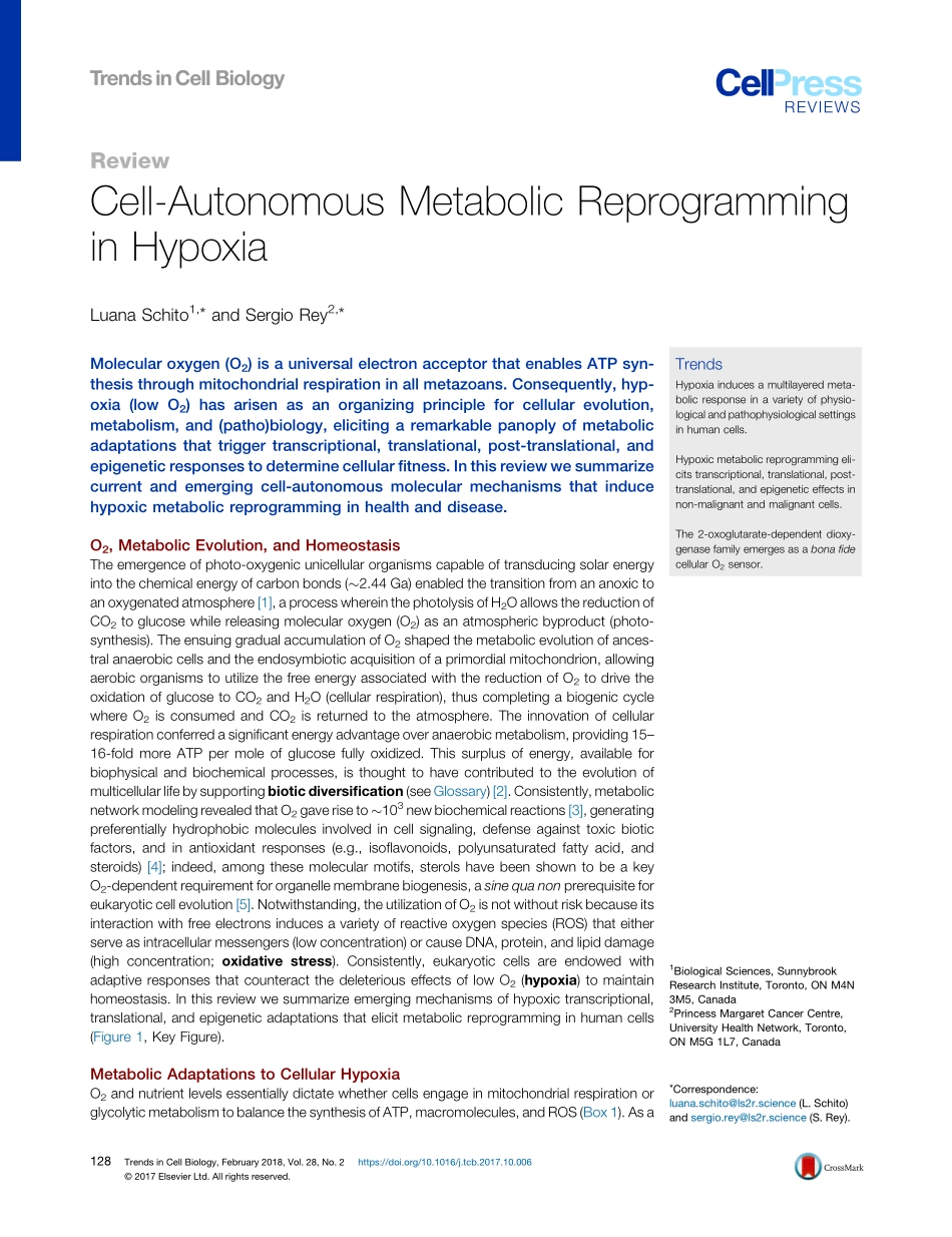 Cell-Autonomous Metabolic Reprogramming in Hypoxia.pdf_第1页