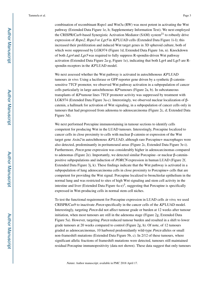 2017-Tammela-A Wnt-producing niche drives prol.pdf_第3页