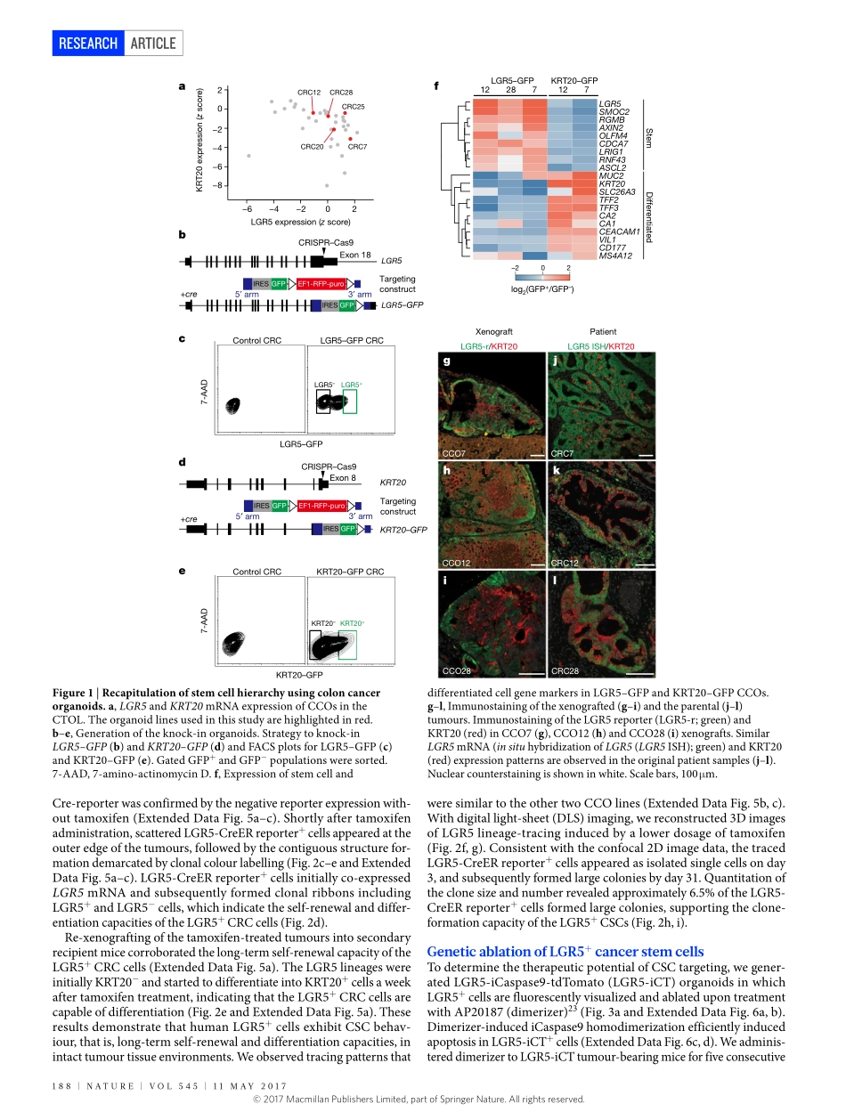 2017-Shimokawa-Visualization and targeting of.pdf_第2页