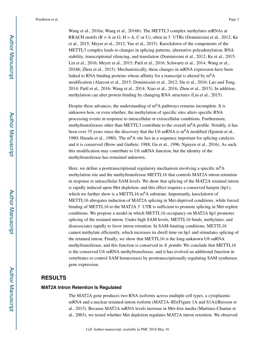 可变剪接调控：The U6 snRNA m6A methyltransferase METTL16 regulates SAM synthetase intron retention.pdf_第3页
