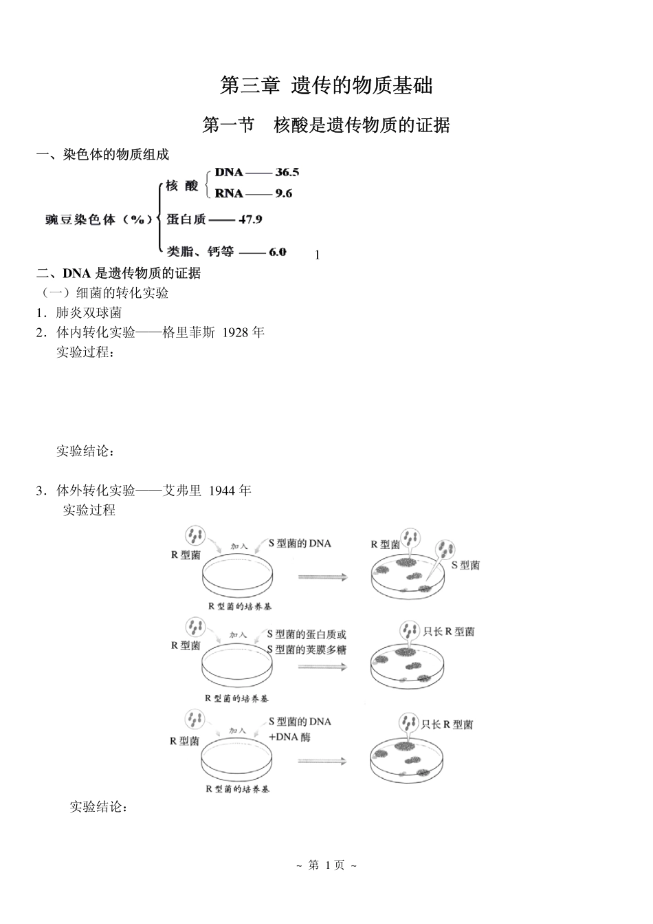 4遗传的物质基础.pdf_第1页
