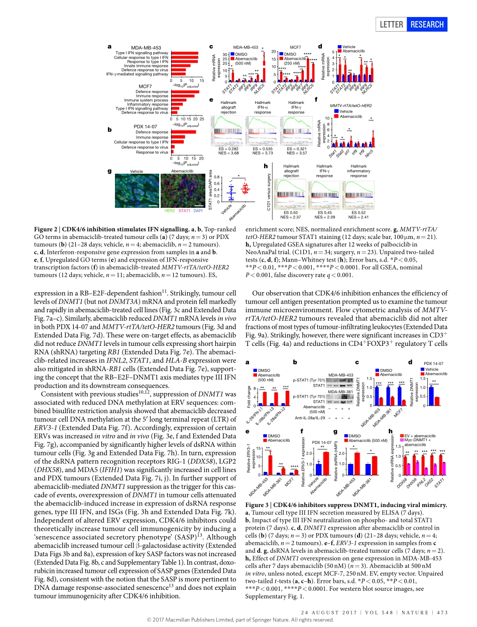 2017-Goel-CDK4_6 inhibition triggers anti-tumo.pdf_第3页