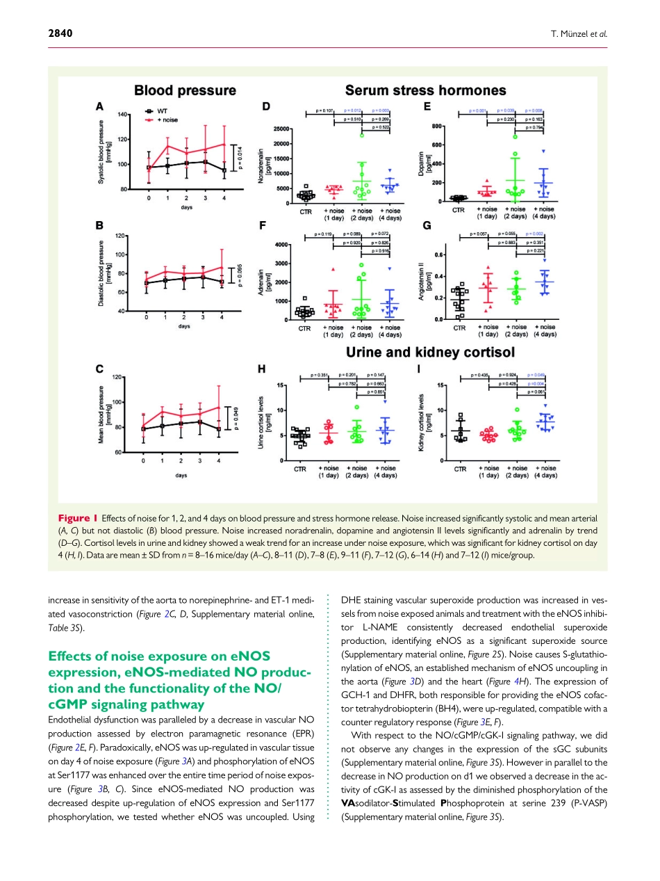 2017-Munzel-Effects of noise on vascular funct.pdf_第3页