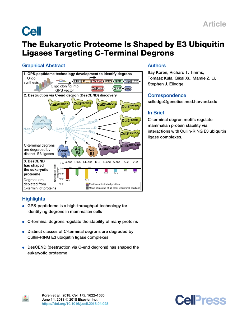 Koren-2018-The Eukaryotic Proteome Is Shaped b.pdf_第1页