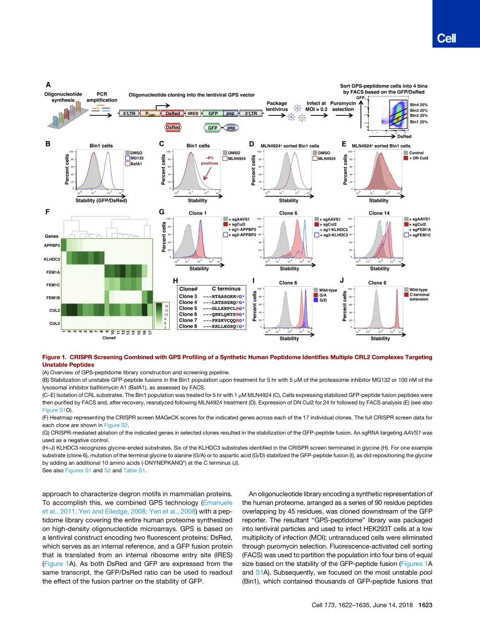 Koren-2018-The Eukaryotic Proteome Is Shaped b.pdf_第3页