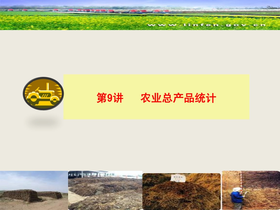 第9讲 农业总产品统计.pdf_第2页