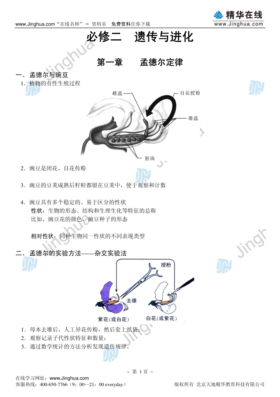 1分离定律.pdf_第2页