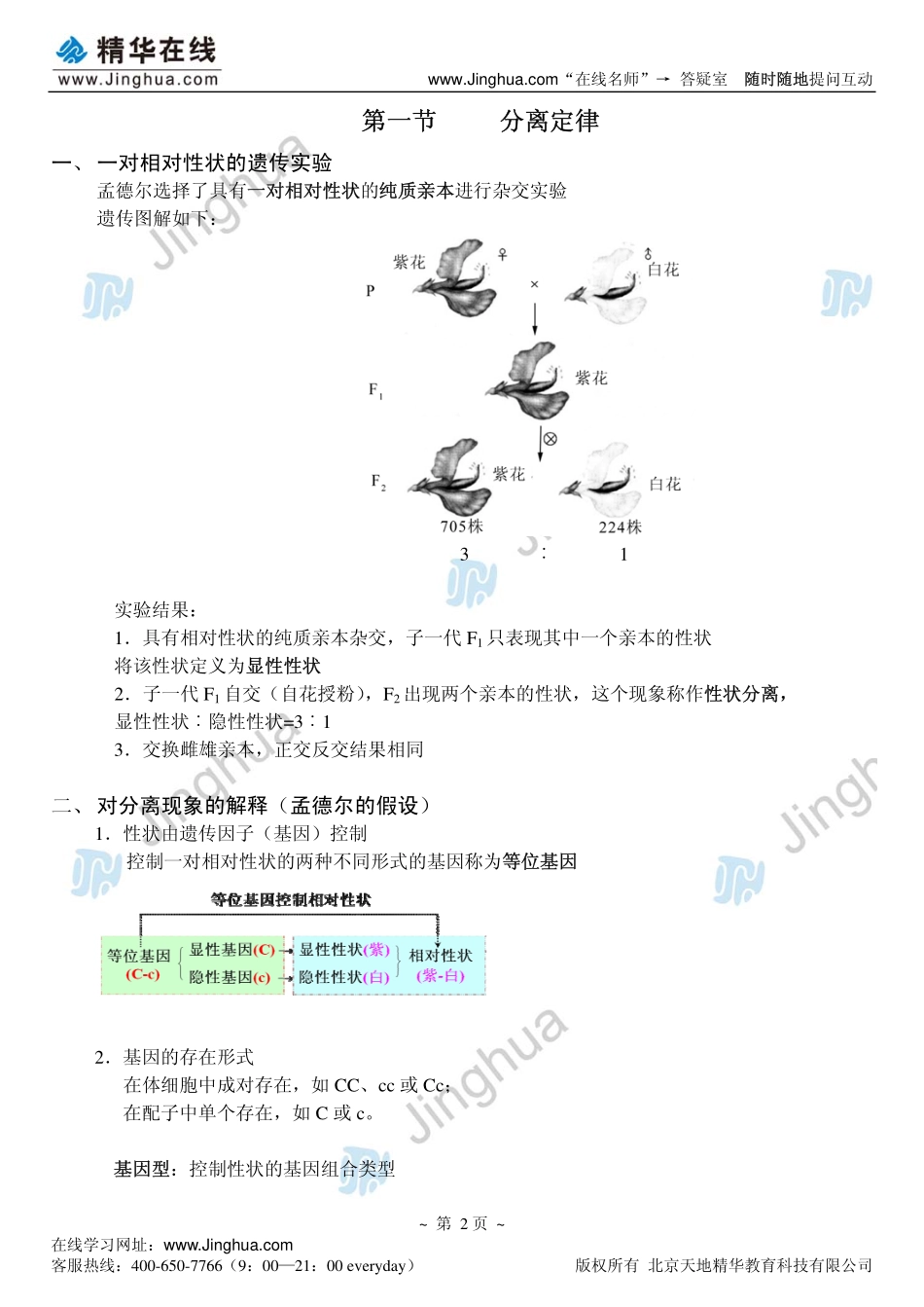 1分离定律.pdf_第3页