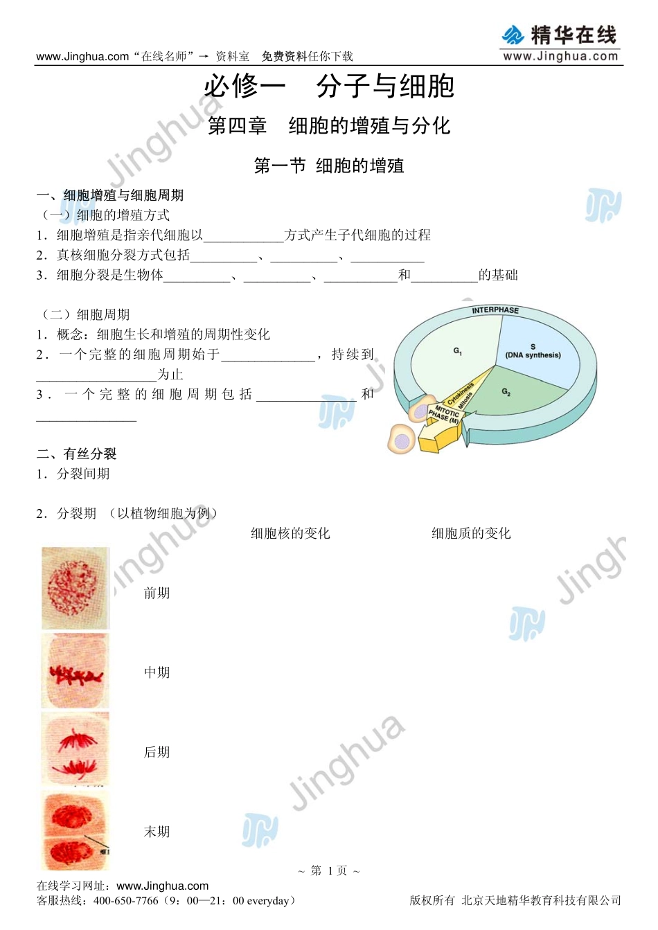 7细胞的增殖与分化.pdf_第2页