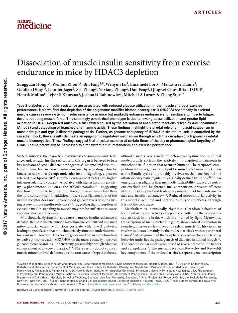 2017-Hong-Dissociation of muscle insulin sensi.pdf_第1页