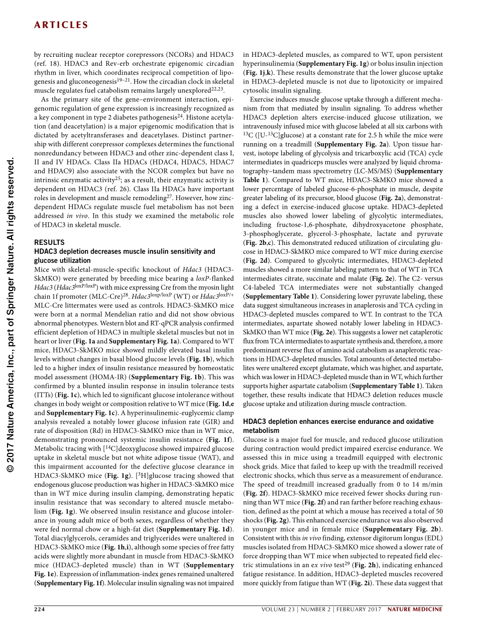 2017-Hong-Dissociation of muscle insulin sensi.pdf_第2页