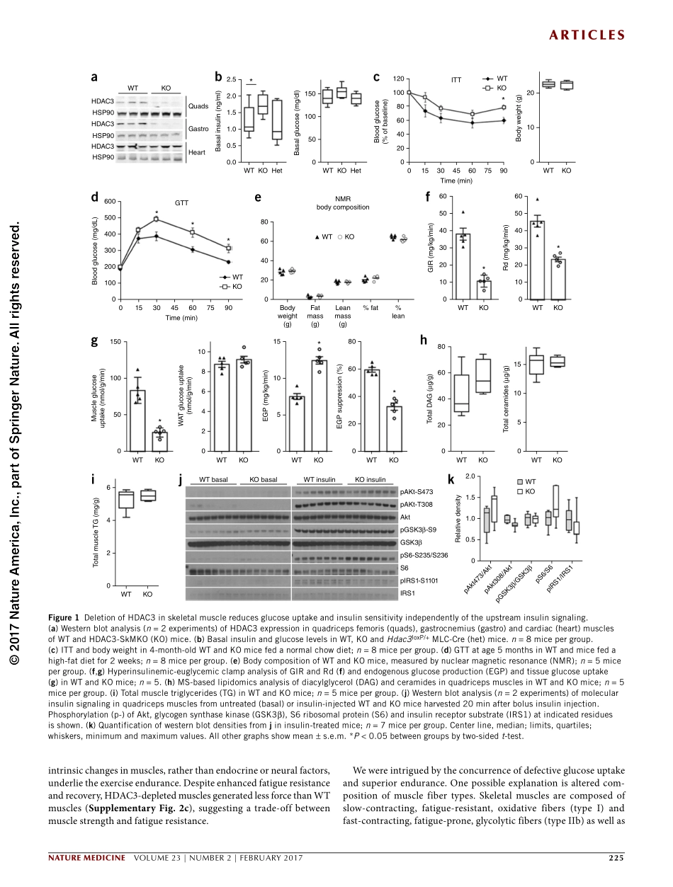 2017-Hong-Dissociation of muscle insulin sensi.pdf_第3页