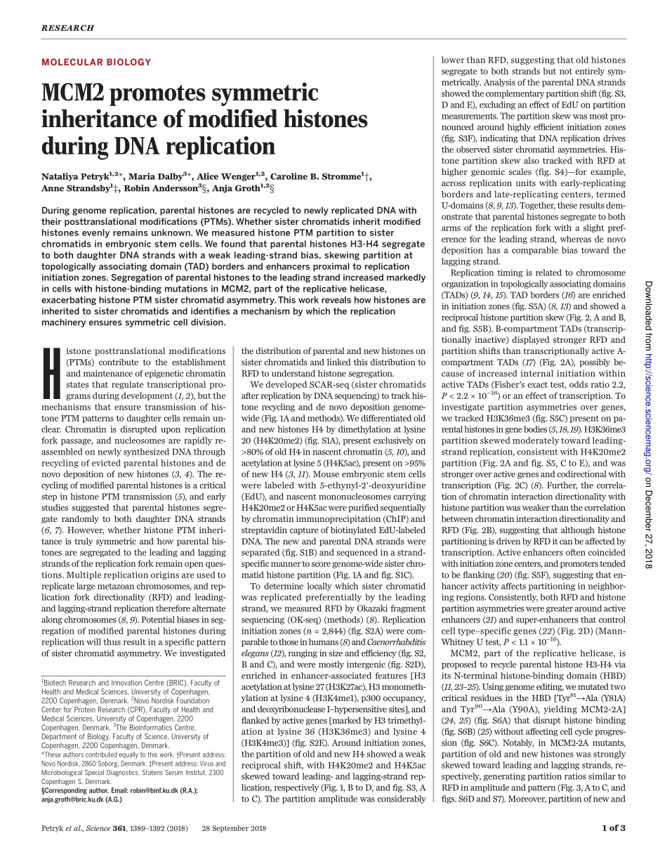 2018-Petryk-MCM2 promotes symmetric inheritanc.pdf_第1页