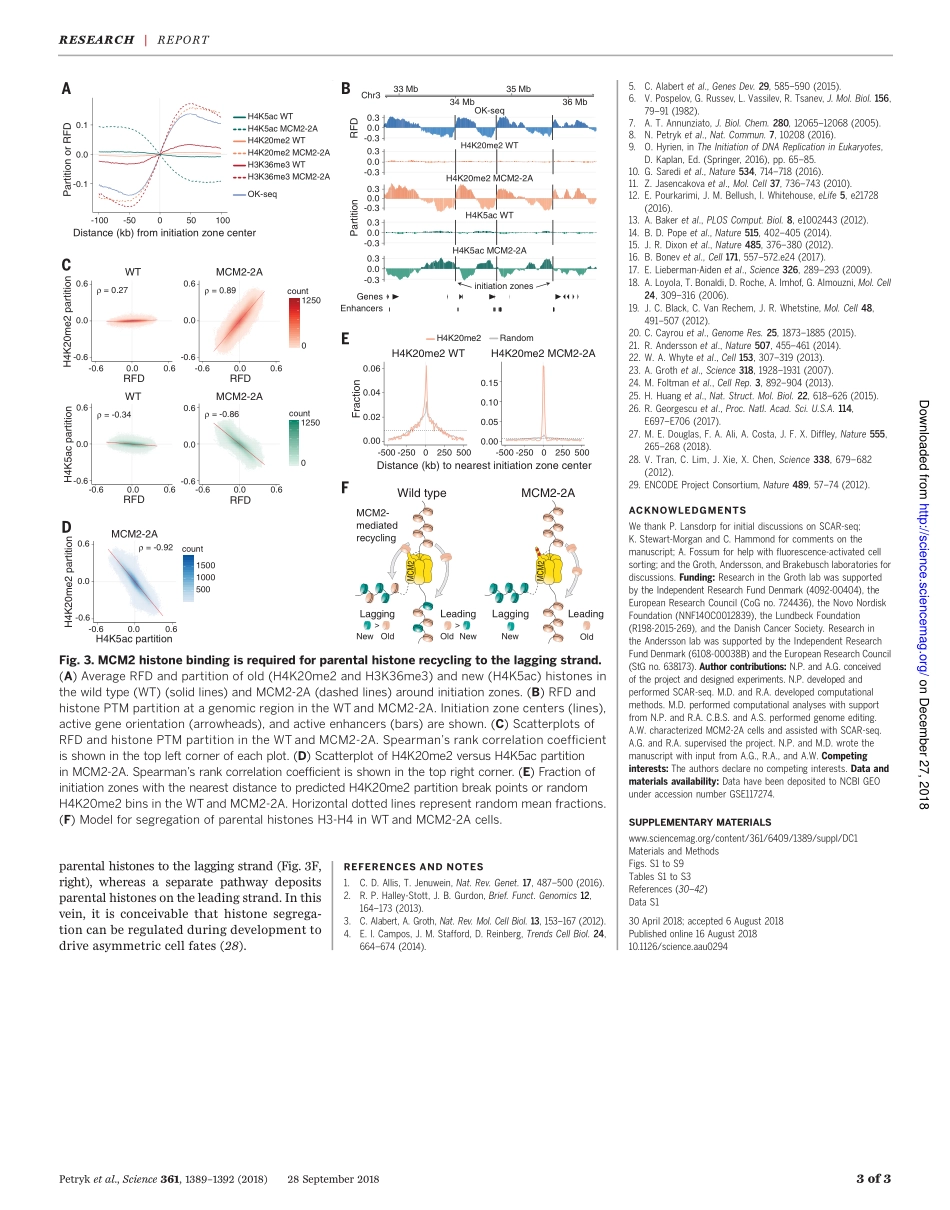2018-Petryk-MCM2 promotes symmetric inheritanc.pdf_第3页