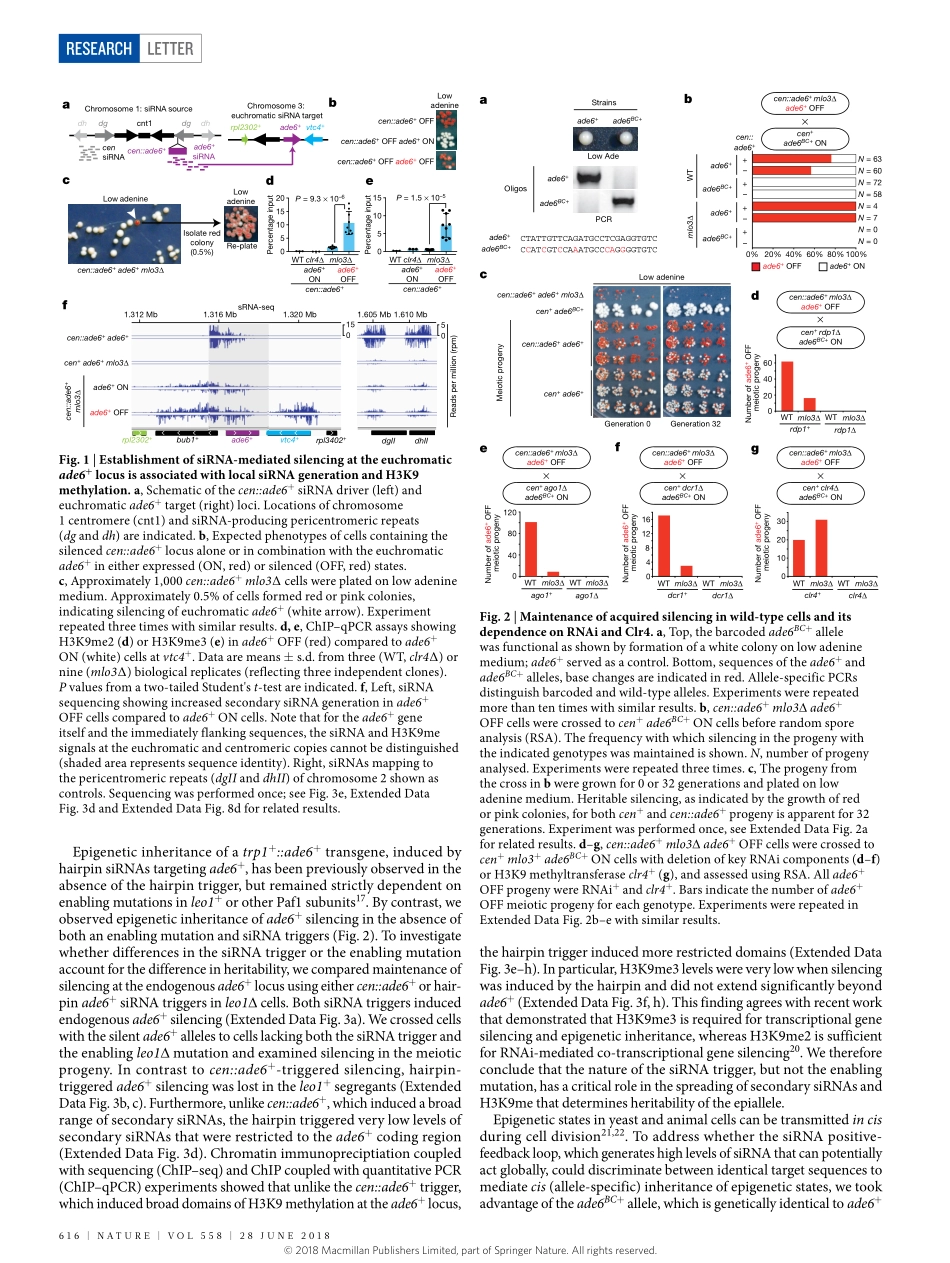 2018-Yu-Epigenetic inheritance mediated by cou.pdf_第2页
