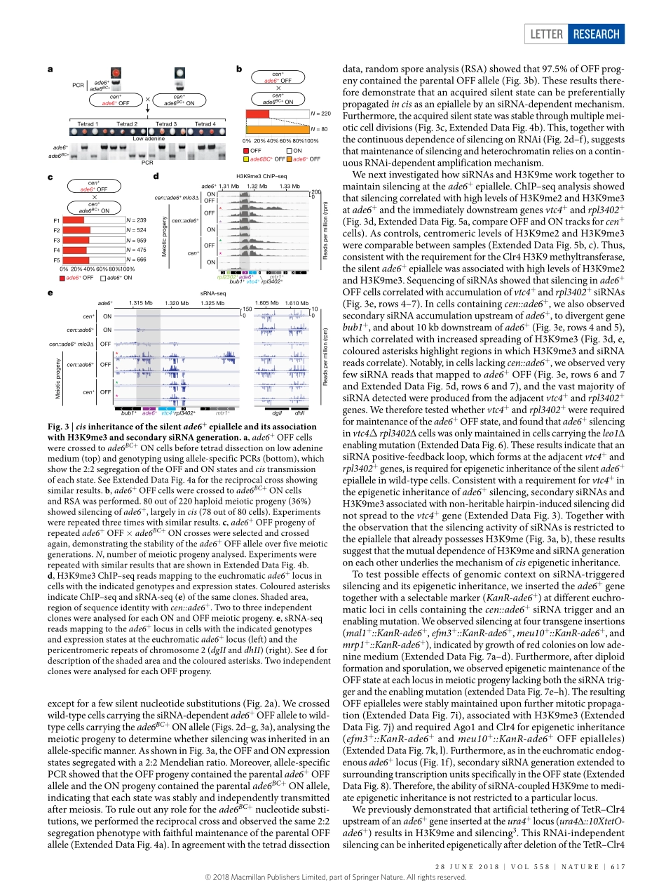 2018-Yu-Epigenetic inheritance mediated by cou.pdf_第3页