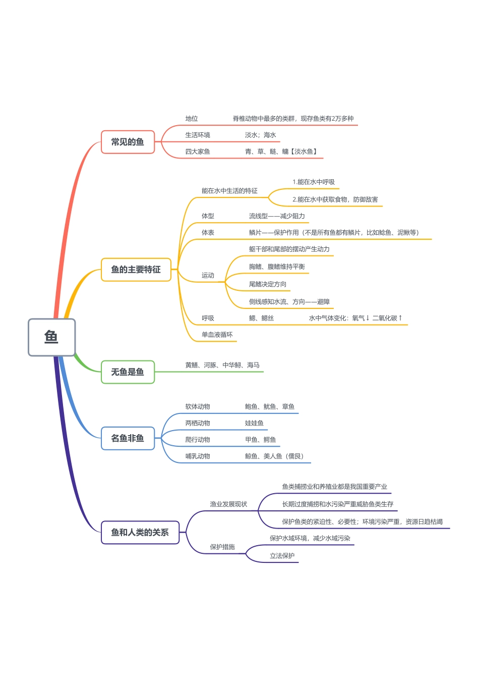 鱼——思维导图.pdf_第1页
