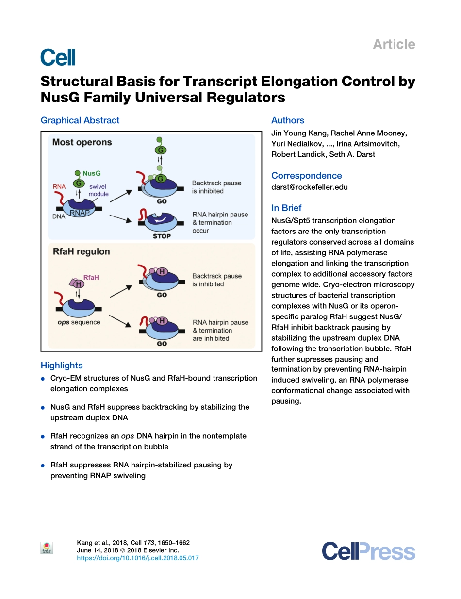 2018-Kang-Structural Basis for Transcript Elon.pdf_第1页