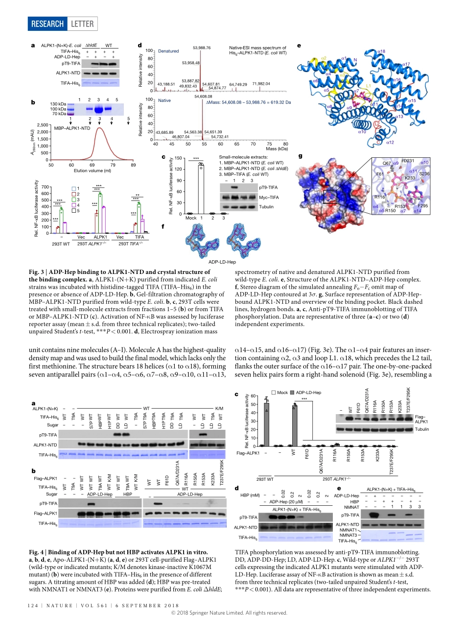 2018-Zhou-Alpha-kinase 1 is a cytosolic innate.pdf_第3页