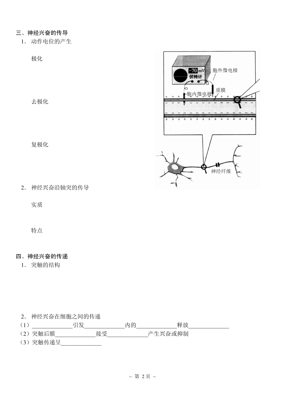 1动物的神经调节.pdf_第2页