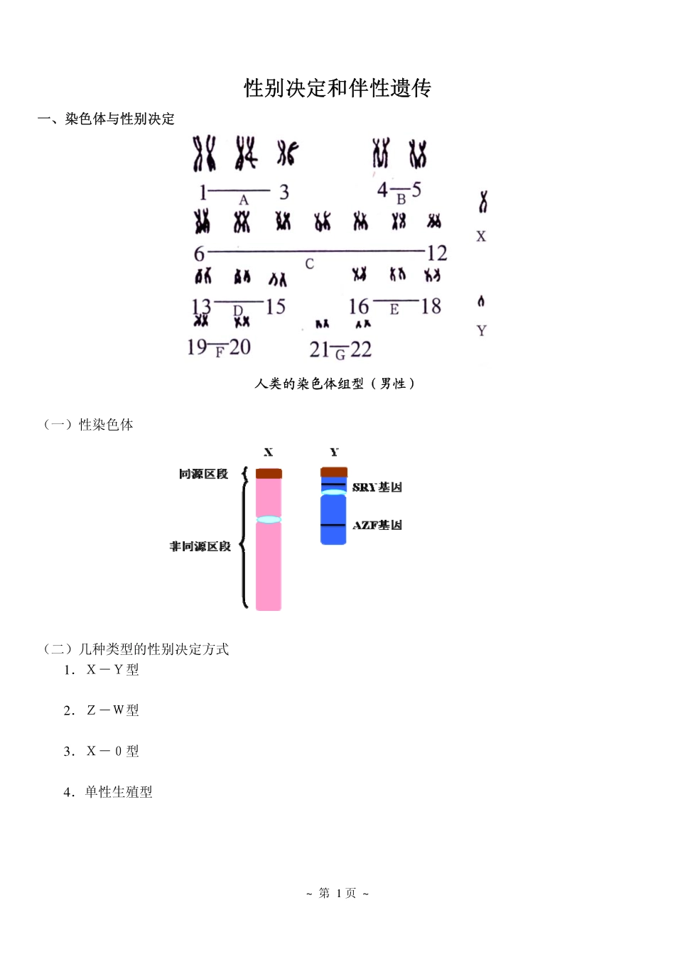 3性别决定和伴性遗传.pdf_第1页